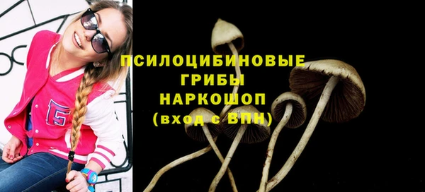 бошки Абаза