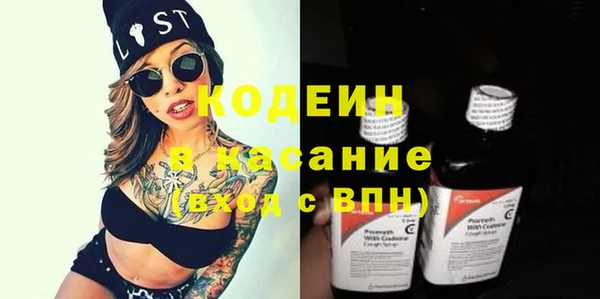 прущие грибы Алзамай