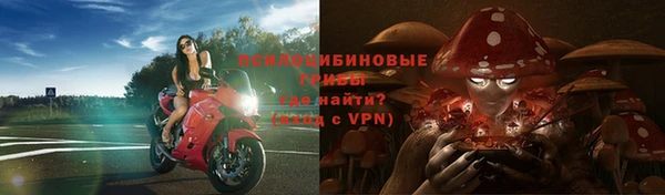 прущие грибы Алзамай