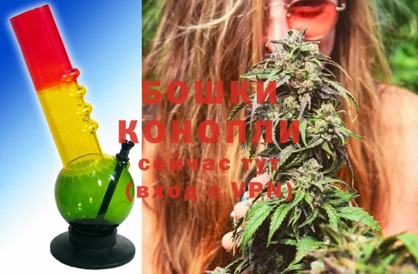 шишки Краснотурьинск