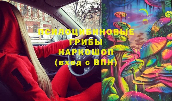бошки Абаза