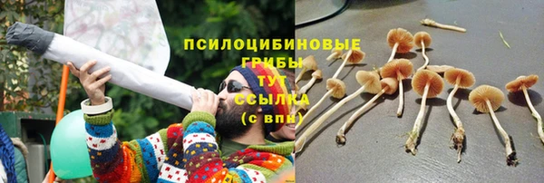 прущие грибы Алзамай
