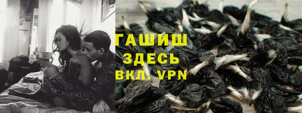 дживик Краснослободск