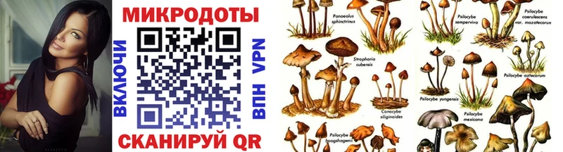 Псилоцибиновые грибы мицелий  что такое наркотик  Лысково 